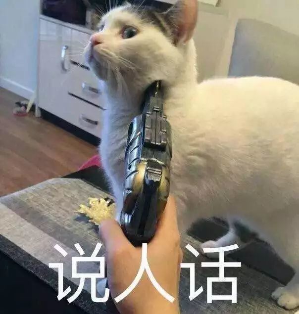 阻断牌